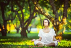 世俱杯直播-哪些曾效力曼联的球员目前在法甲踢球？（曼联是法甲吗）