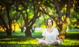 世俱杯直播-哪些曾效力曼联的球员目前在法甲踢球？（曼联是法甲吗）