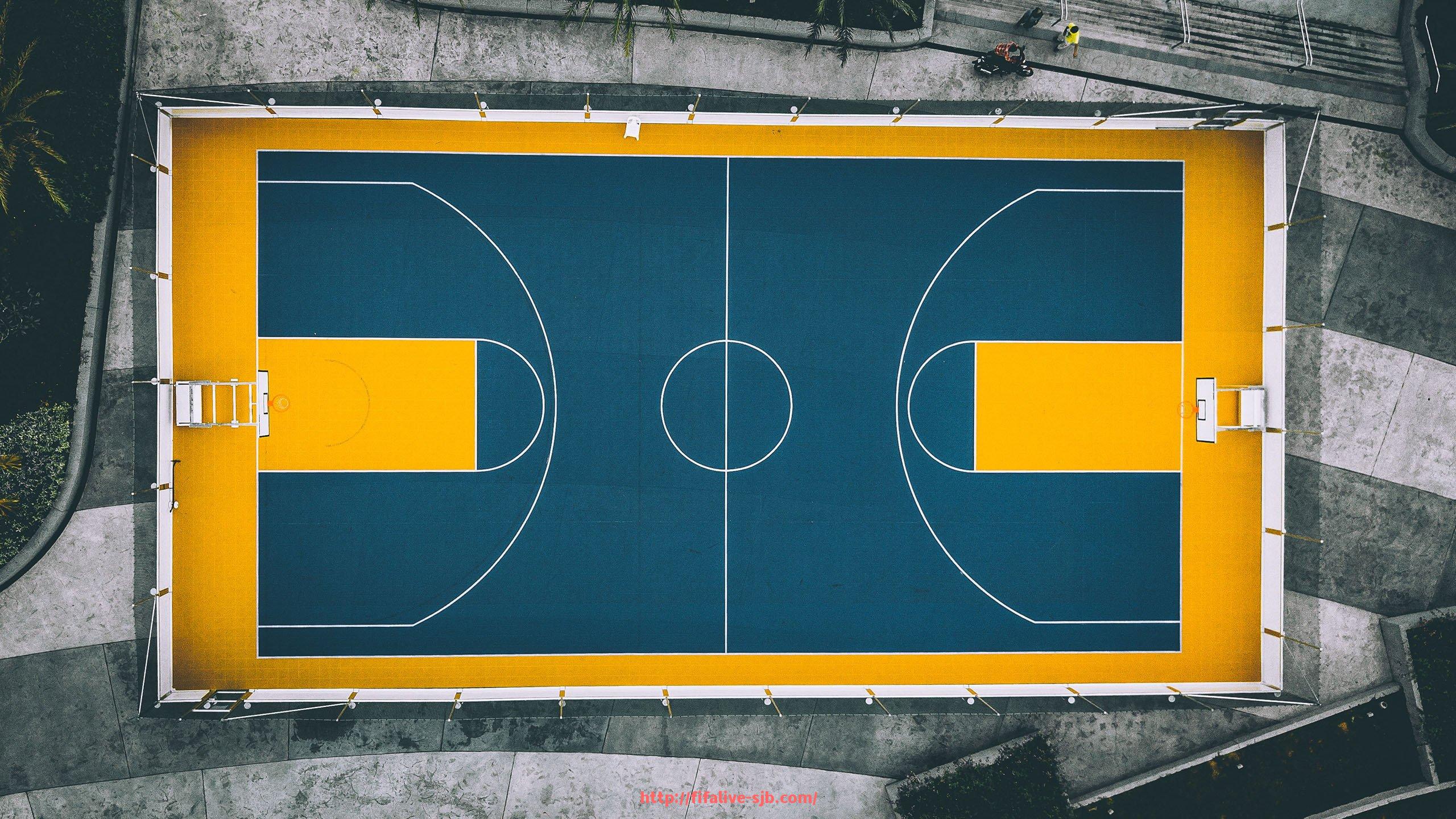 世俱杯直播-NBA新浪手机网的新闻内容覆盖哪些方面（nba手机新浪网体育新闻）
